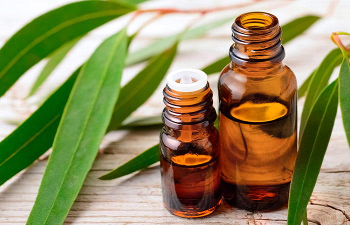 A thinner variety of eucalyptus leaves, posed near two bottles of essential oils