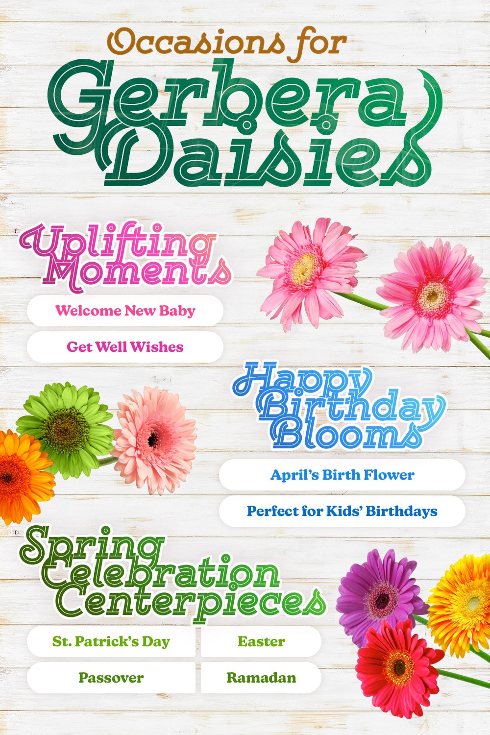 A list of occasions that are perfect for Gerbera daisies like Uplifting Moments, Happy Birthday Blooms, and Spring Celebration Centerpieces. Events: Welcome New Baby, Get Well Wishes, April's Birth Flower, Kids' Birthdays, St. Patrick's Day, Easter, Passover, Ramadan.